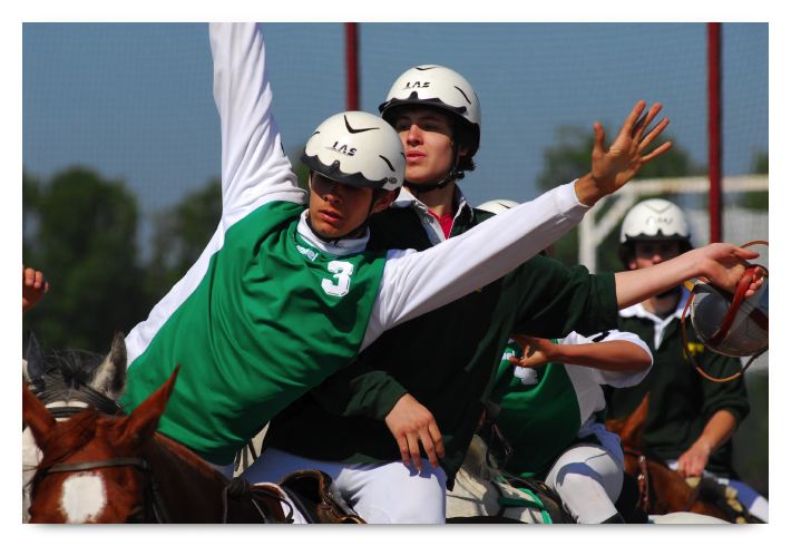 horse ball HB060603-026