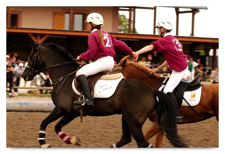 horse ball HB060605-0774