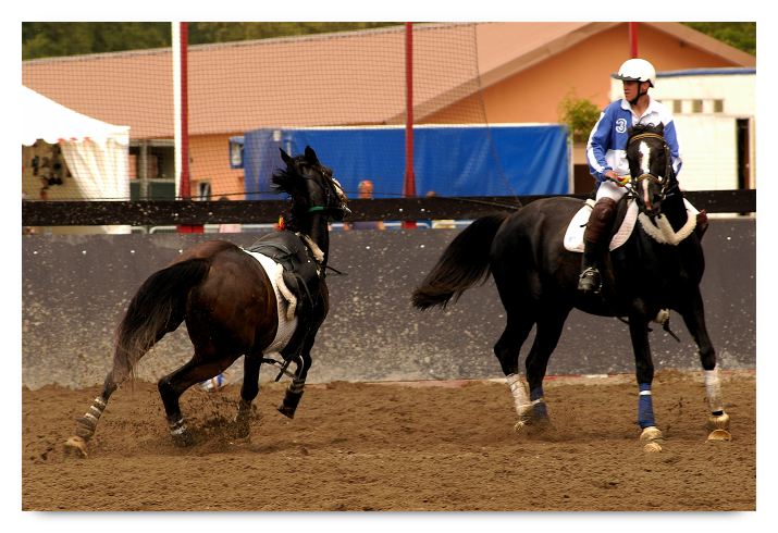 horse ball HB060605-0917