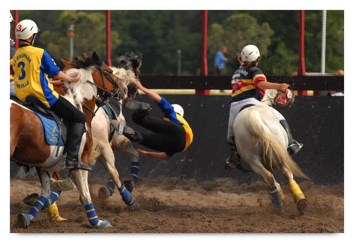 horse ball HB060605-1104