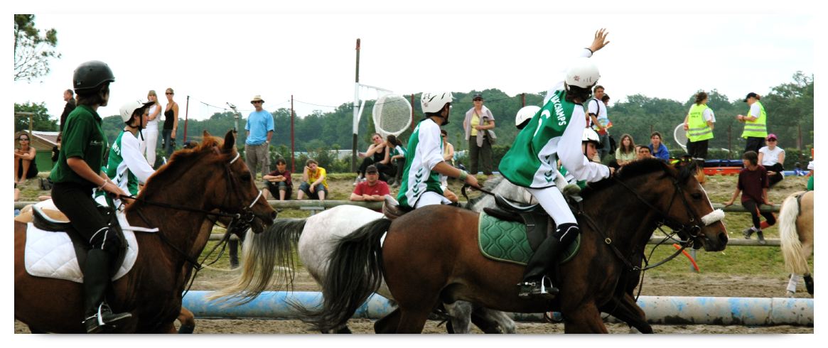 horse ball HB060605-0789