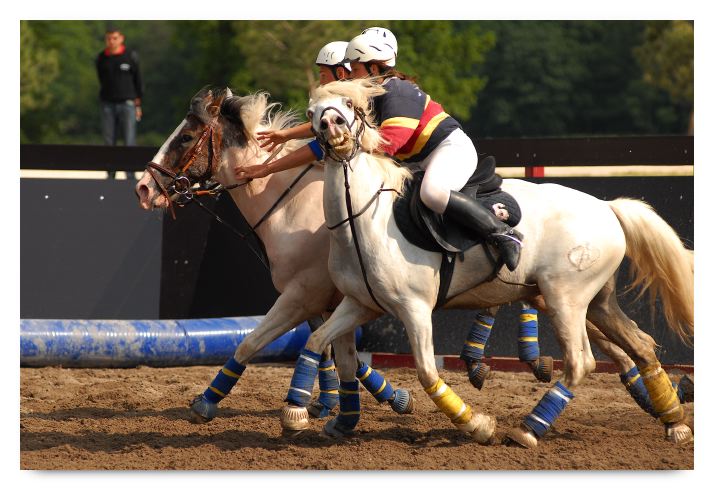 horse ball HB060605-1112