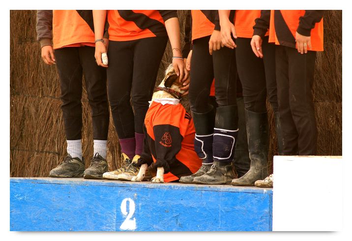 horse ball HB060605-2084 (1)