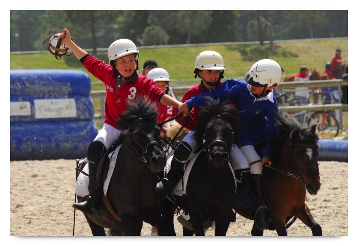 horse ball HB060603-240