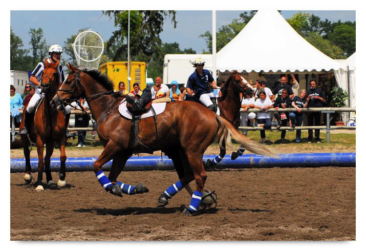 horse ball HB060603-327