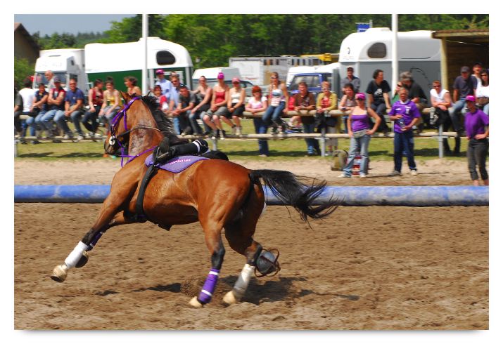 horse ball HB060603-473