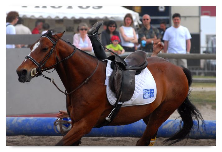 horse ball HB060605-0470