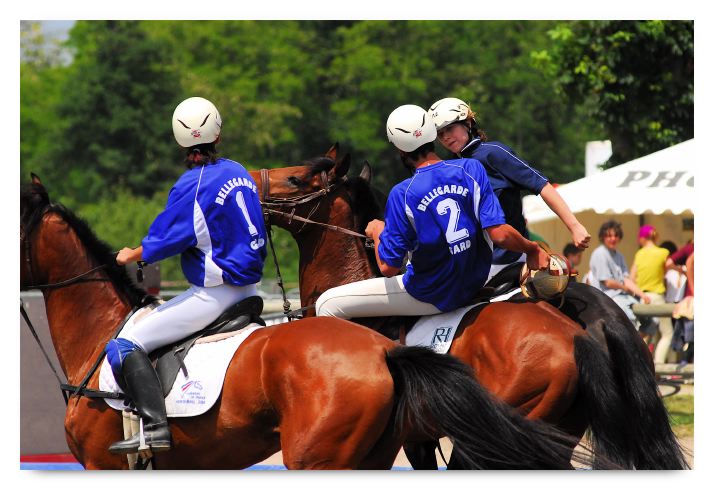 horse ball HB060603-332