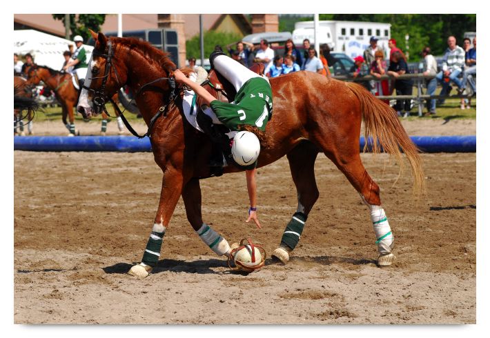 horse ball HB060603-183