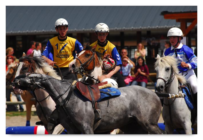 horse ball HB060603-388