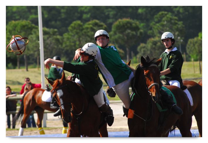 horse ball HB060603-021