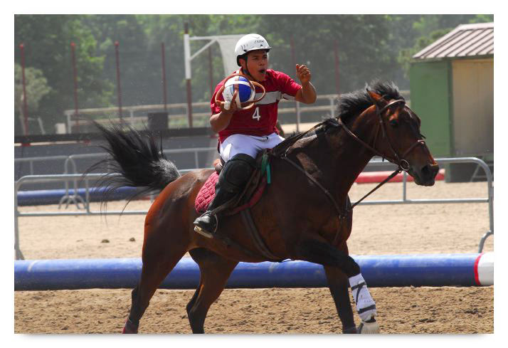 horse ball HB060603-220