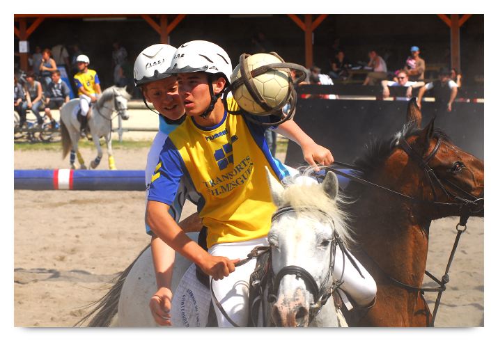 horse ball HB060603-581