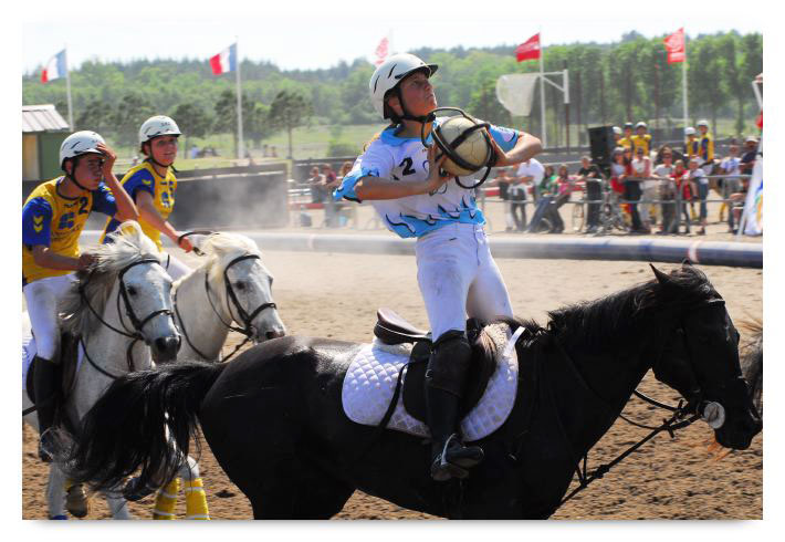 horse ball HB060603-616