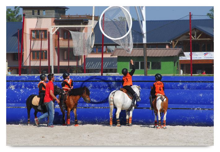 horse ball HB060603-658