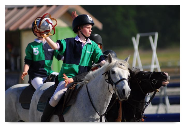 horse ball HB060603-696