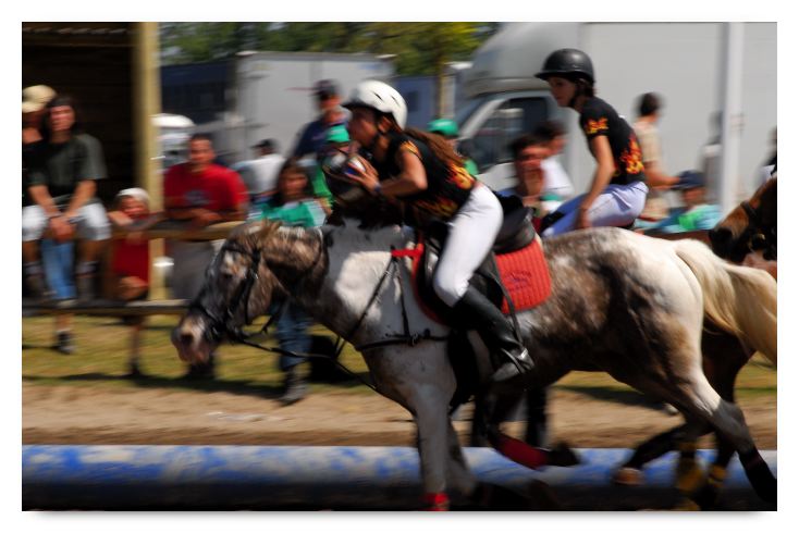 horse ball HB060604-023