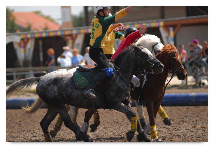 horse ball HB060604-038