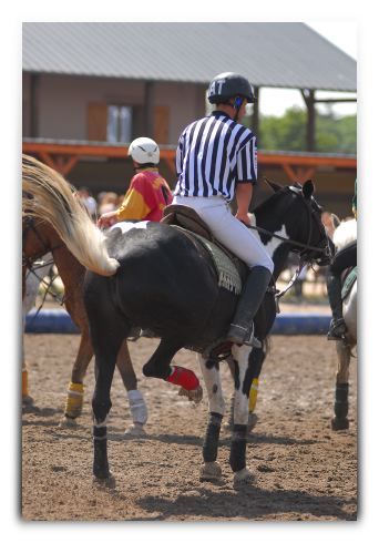 horse ball HB060604-048