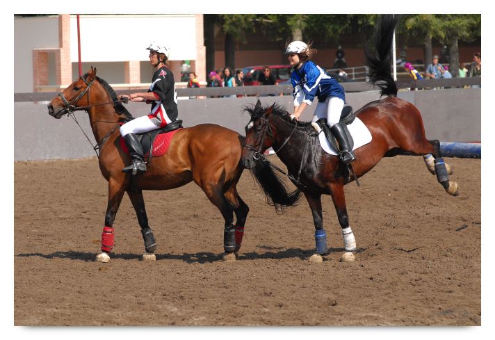 horse ball HB060605-0301