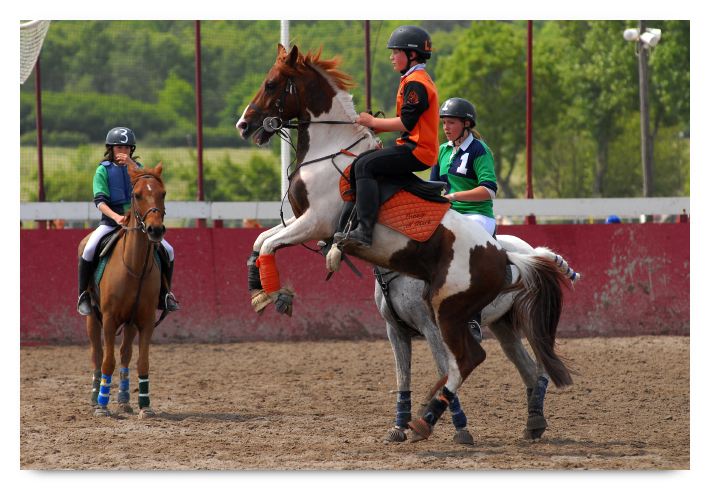 horse ball HB060604-173