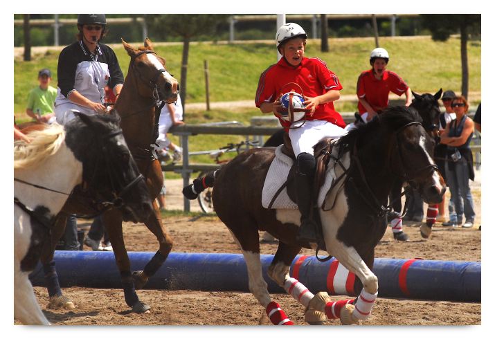 horse ball HB060603-452