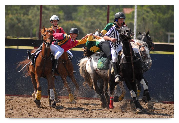 horse ball HB060604-049