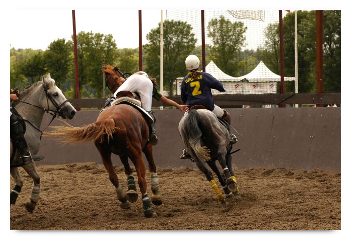 horse ball HB060605-0892