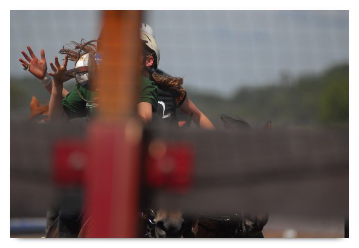 horse ball HB060604-051