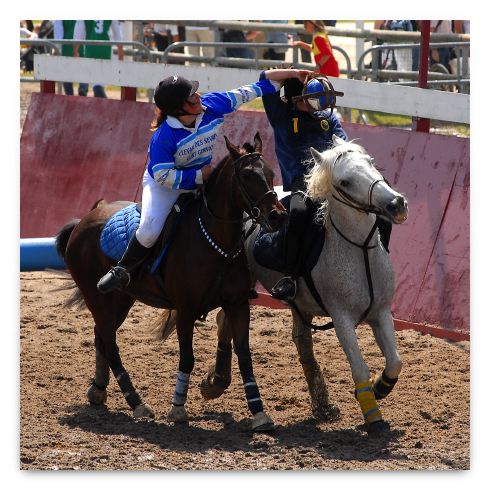 horse ball HB060604-071