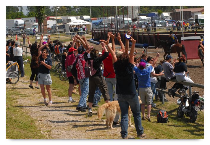 horse ball HB060604-076