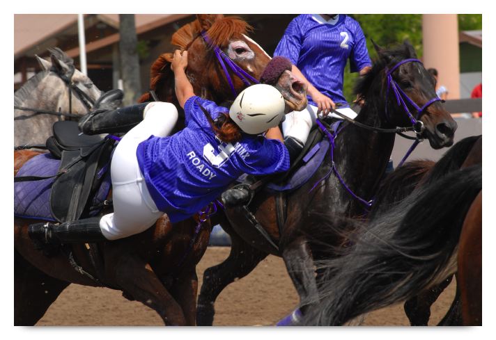 horse ball HB060604-135