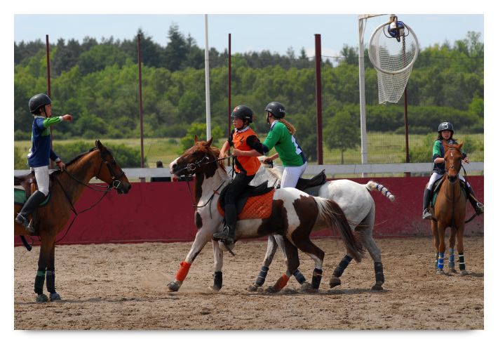 horse ball HB060604-174