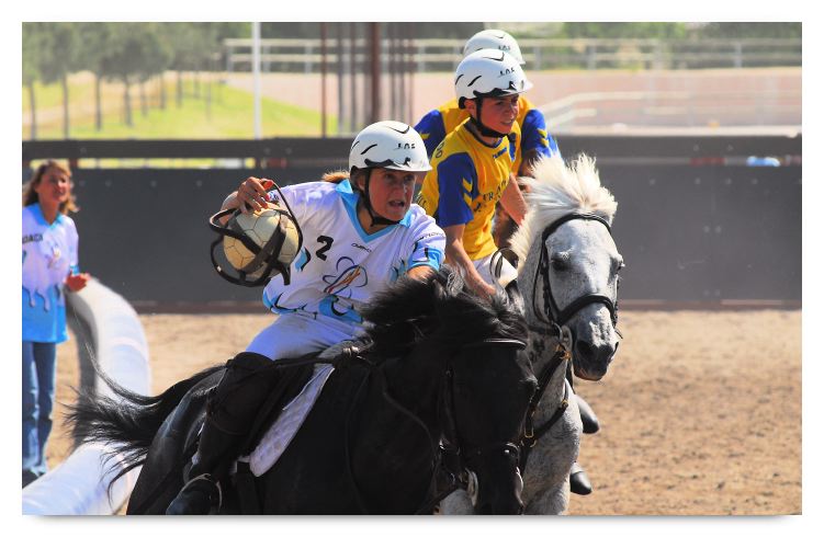 horse ball HB060603-615