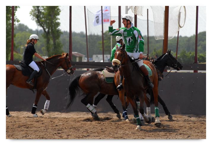 horse ball HB060604-473