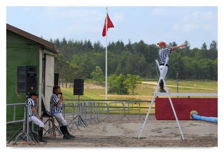 horse ball HB060605-0475