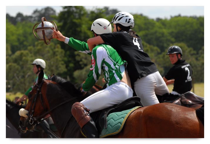 horse ball HB060604-433