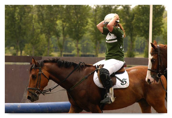 horse ball HB060605-0893