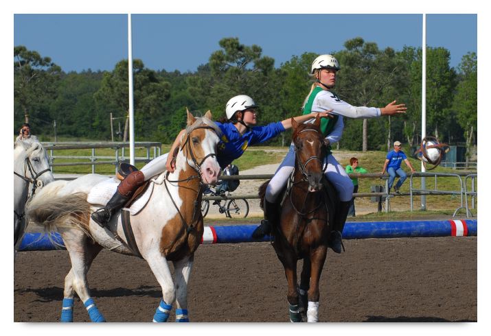 horse ball HB060605-0148