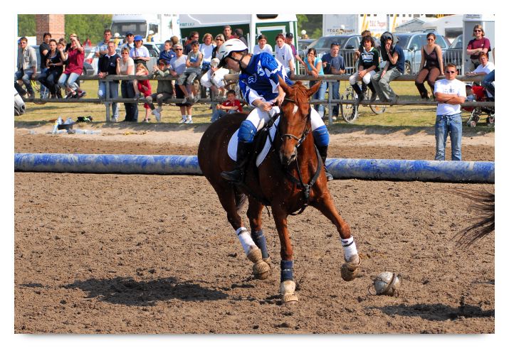 horse ball HB060605-0276