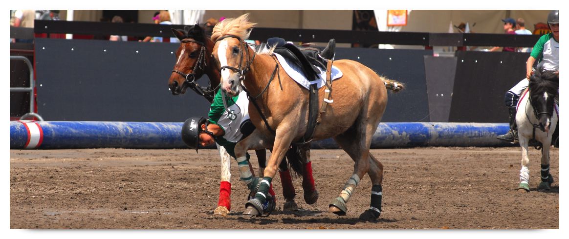 horse ball HB060605-0711