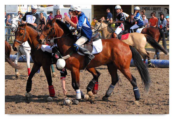 horse ball HB060605-0277