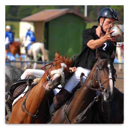 horse ball HB060605-0226