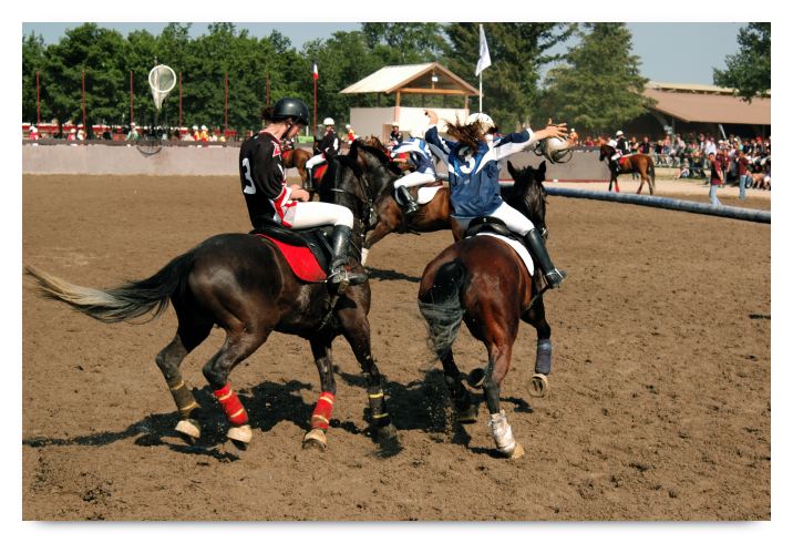 horse ball HB060605-0190