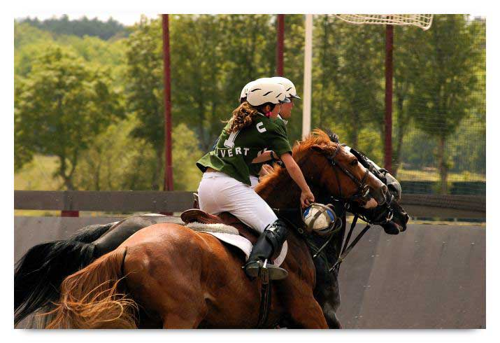 horse ball HB060605-0848