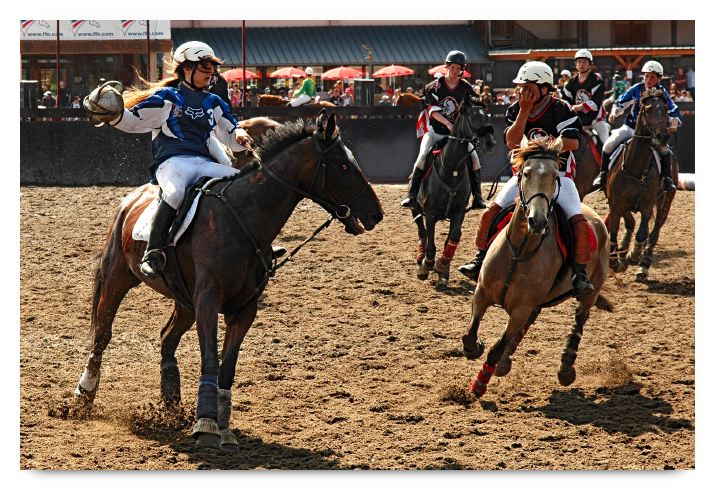 horse ball HB060605-0210