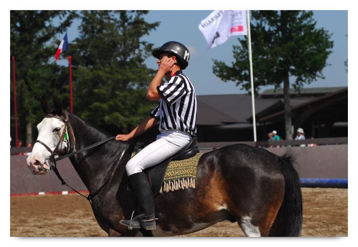 horse ball HB060603-108