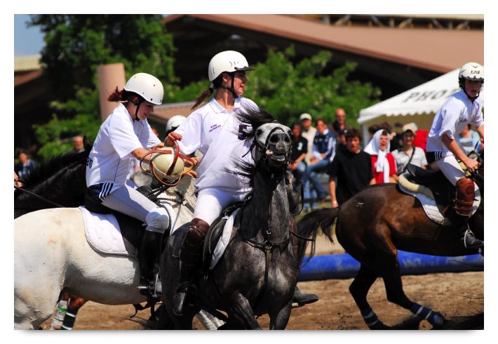 horse ball HB060603-132