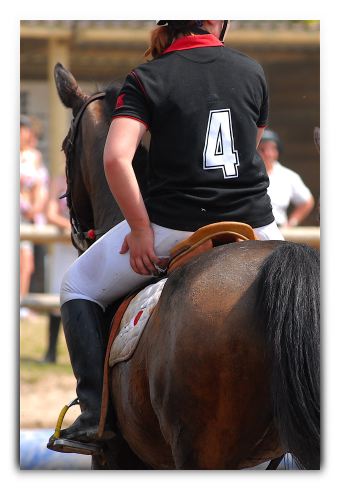 horse ball HB060605-0552