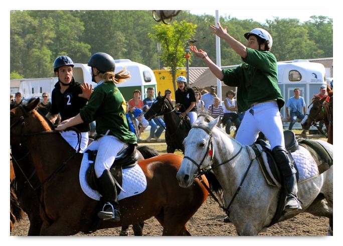 horse ball HB060605-0201 copie